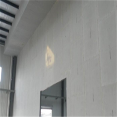 瓦房店宁波ALC板|EPS加气板隔墙与混凝土整浇联接的实验研讨